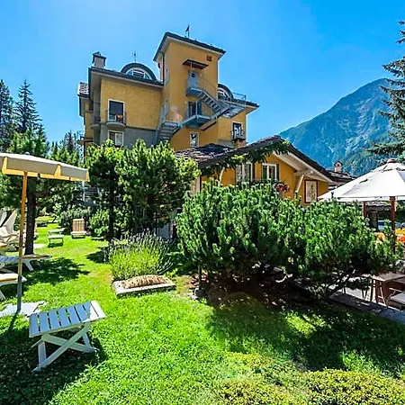 Bouton D'or Courmayeur